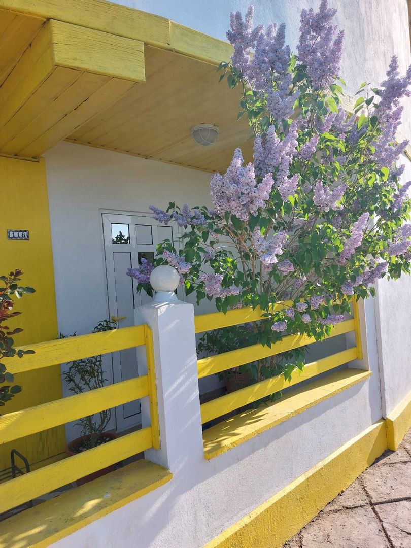 Vila cu ponton la lacul Snagov - Poză 8