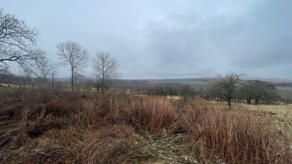 Casa Demolabila | Rediu | Teren 3278 mp | Posibiliate parcelare - Poză 6