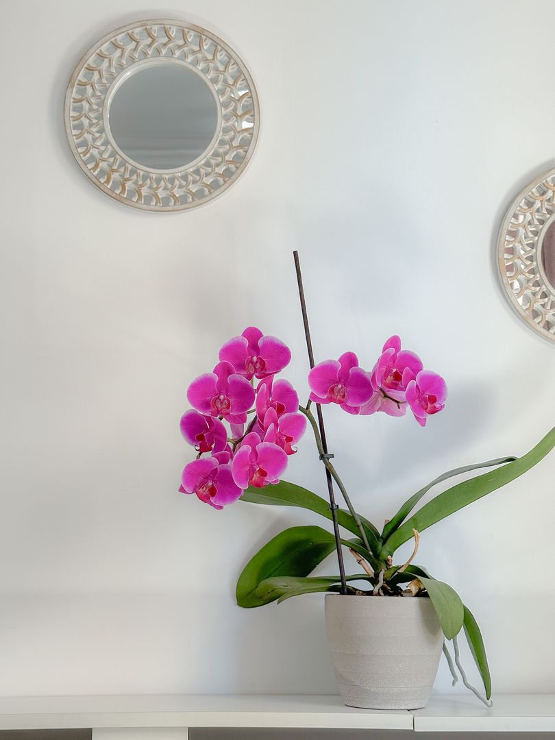 VANDUT - Apartament modern cu 2 camere - langa padure - mobilat&utilat | Com0% - Poză 13