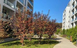 2 camere parter cu gradina | zona Jandarmeriei | - Poză 11