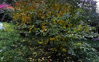 Casă complet renovată, pentru locuință sau pensiune turistică! - Poză 23