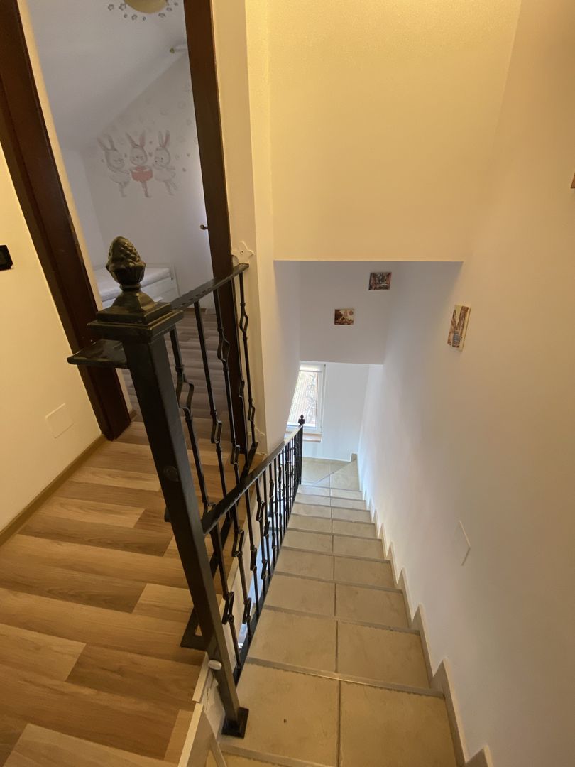 Cochet la intrare in Dumbravita - Poză 16