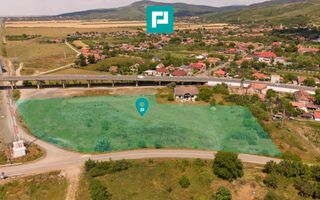 Teren intravilan 10.000 mp. în Pauliș - Poză 3
