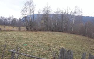 TEREN  INTRAVILAN 700 MP, LERESTI, ARGES - Poză 2