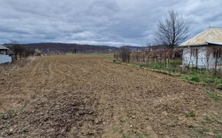 Teren intravilan in Sanduleni/Bacau de vanzare - Poză 11