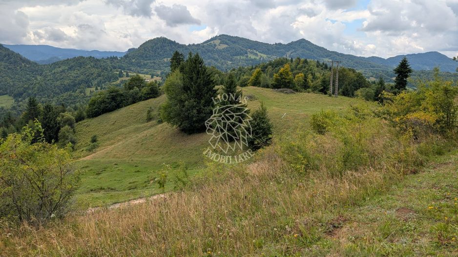 Parcele teren cu Panorama la Lac Colibita-ideal Cabana COMISION 0% - Poză 2