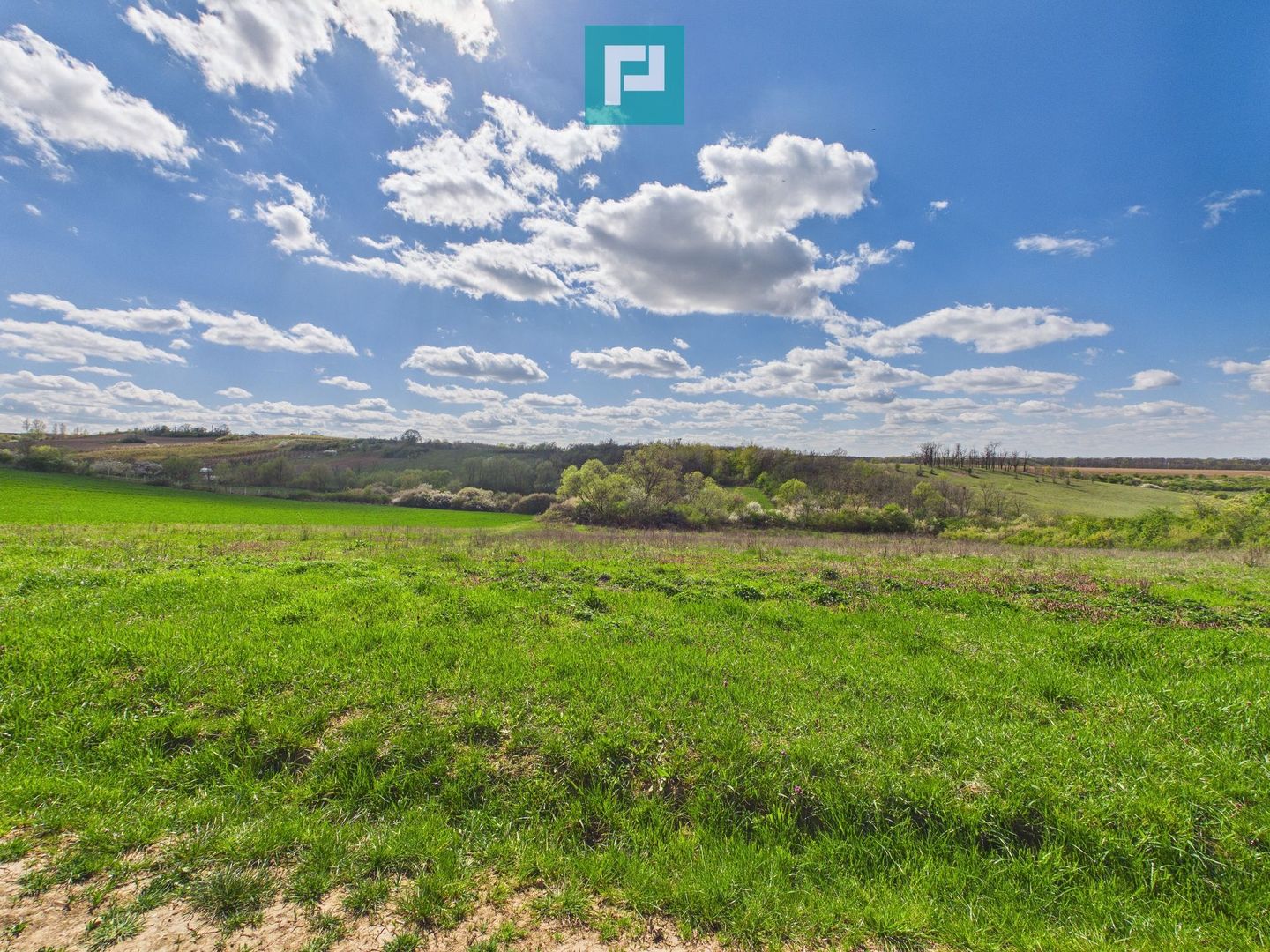 Casă cu teren 1.151mp la 25 km de Oradea, Sisterea - Poză 11