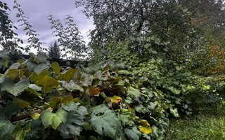 CASĂ CU SUFLET, ÎN INIMA COVASNEI, de vânzare - Poză 22