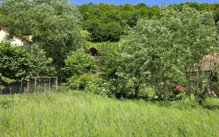 Cabana rustica din lemn, 3 camere. 1100 mp teren, Lunca Ampoitei - Poză 14