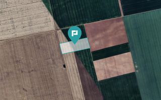 Teren arabil de 4,4Ha în Șimand - Poză 1