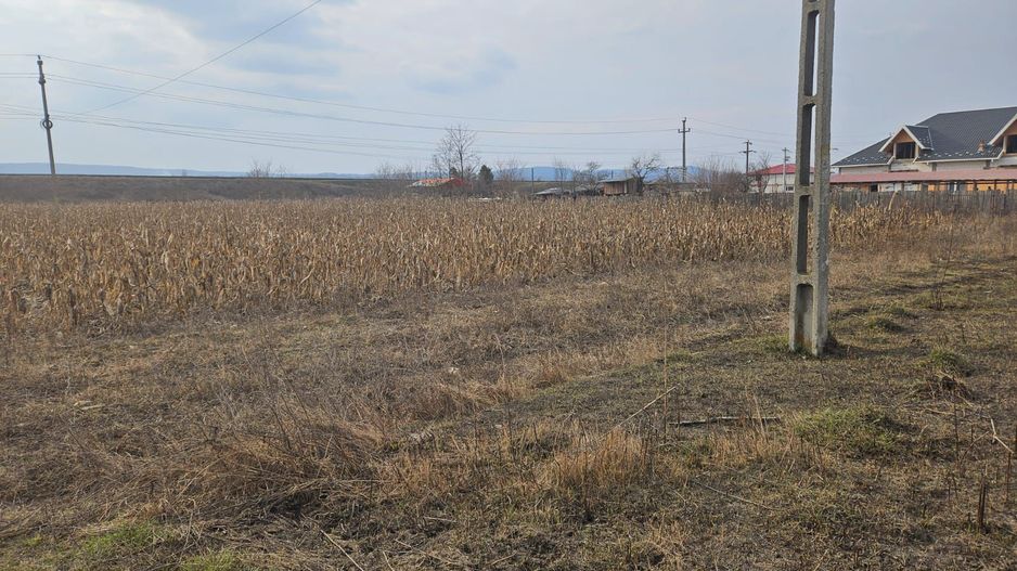 SUPEROFERTA !!! Teren 8000 mp,  Merisani, langa DN si Autostrada - Poză 5