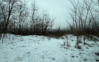 Teren extravilan/ fostă livadă/ zona Bucium, Iași - Poză 1