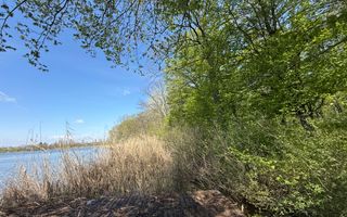 TEREN 7000 MP| DESCHIDERE 40 ML | INTRAVILAN-PADURE | POT 5% | TEREN UNIC | - Poză 2