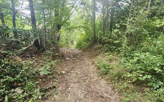 Teren intravilan de vânzare – 2.190 mp – Podu Vadului, Breaza - Poză 9