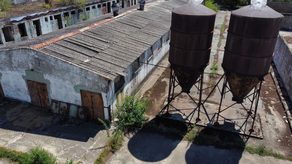 Spațiu industrial -fermă Orțișoara - Poză 14