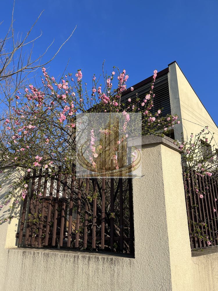 Vilă spectaculoasă în zona Brâncoveanu | 270 mp | Garaj| Curte proprie - Poză 7