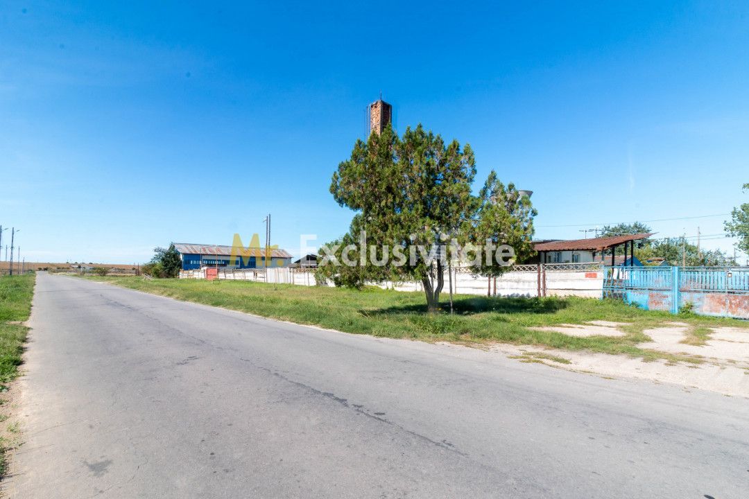 Hala industrial-comerciala - Poză 13