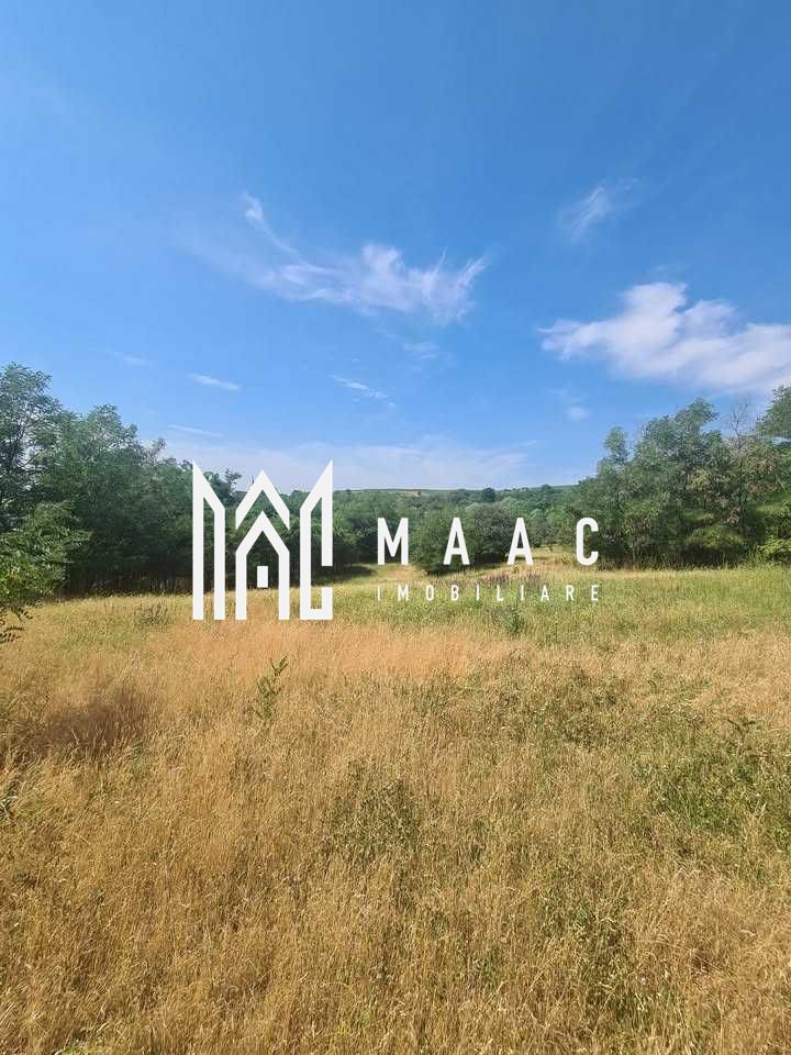 Teren | 12.922 MP | Loamneș - Poză 2