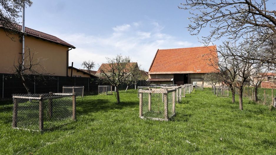 Casă Săsească Autentică cu Șură Impresionantă în Cristian – Teren 2729mp - Poză 10