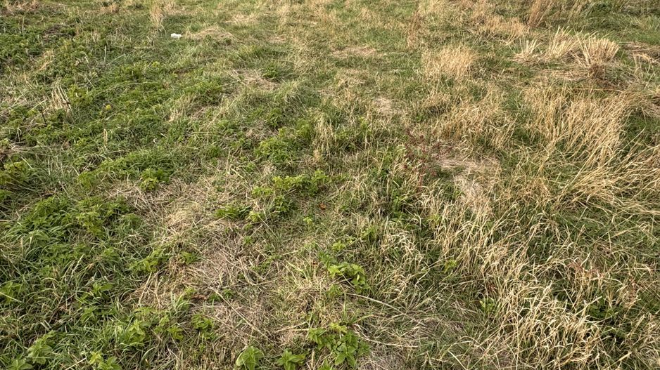 Teren Intravilan Dudestii Noi 646mp,Fs 20m,Utilitatile In Fata Parcelei,Asflat - Poză 3