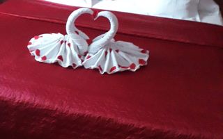 Pensiune 13 camere – ideală pentru cazare muncitori – Mehala, TM - Poză 17