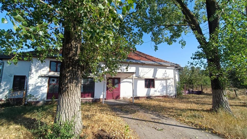 SERĂ INDUSTRIALĂ CU TEREN INTRAVILAN  – OPORTUNITATE RARĂ in Olari - Poză 2
