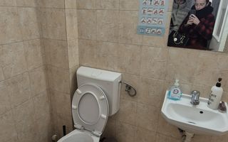 Spațiu Comercial de Vânzare în Domenii – 14 Camere, 351 mp Teren - Poză 7