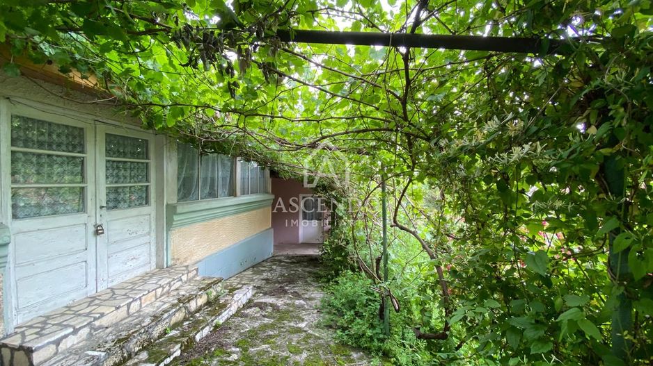 Domeniu 15.900 mp în Fințești | Casă + Investiție Dealu Mare - Poză 4