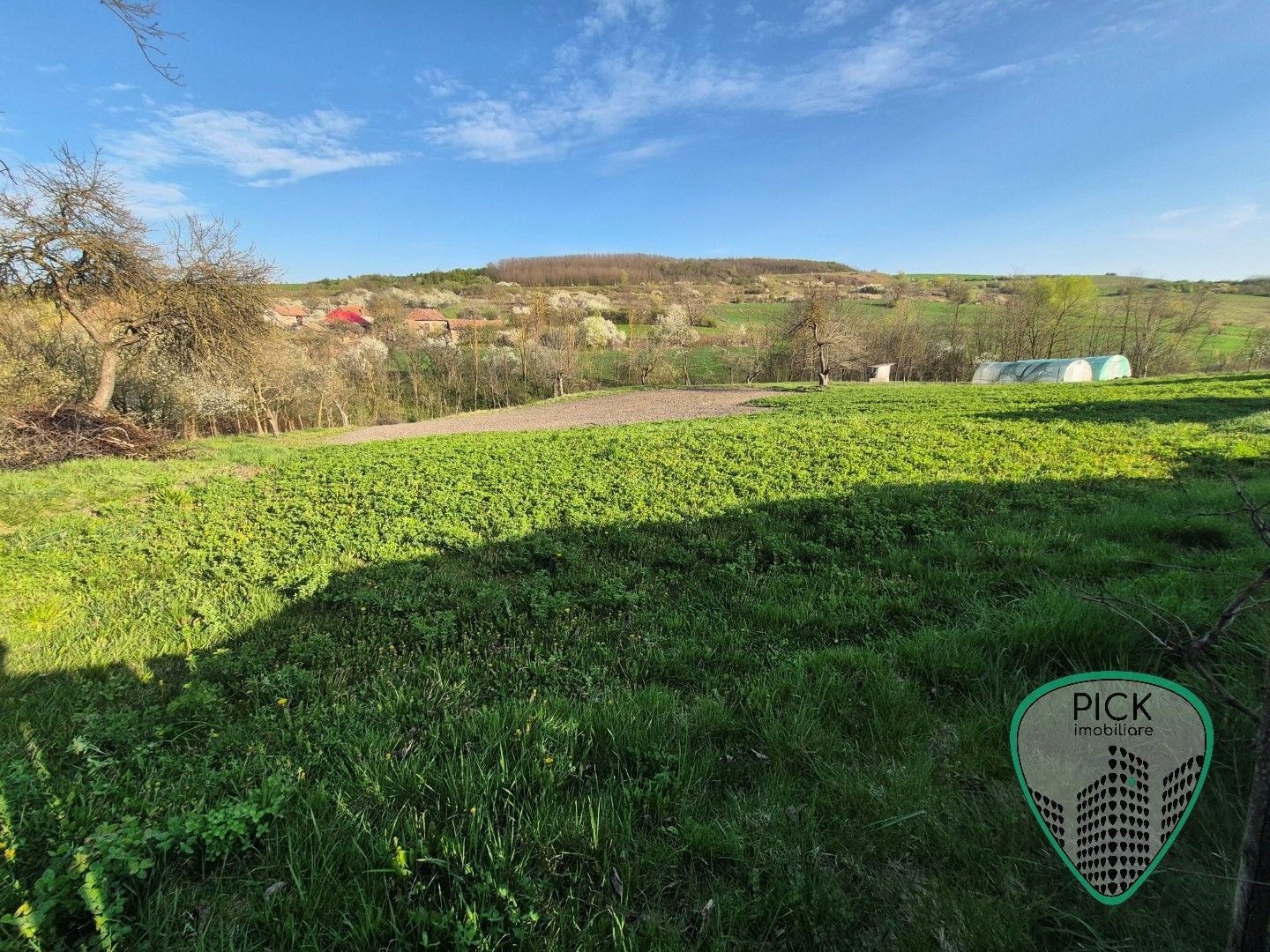 P 1226 - Casă cu 2 camere în Cerghid, jud. Mureș - teren 4044 mp - Poză 10