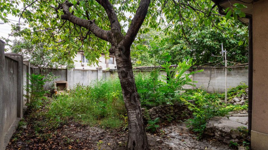 Casa vinzare 100mp, 2,3ari - Poză 3