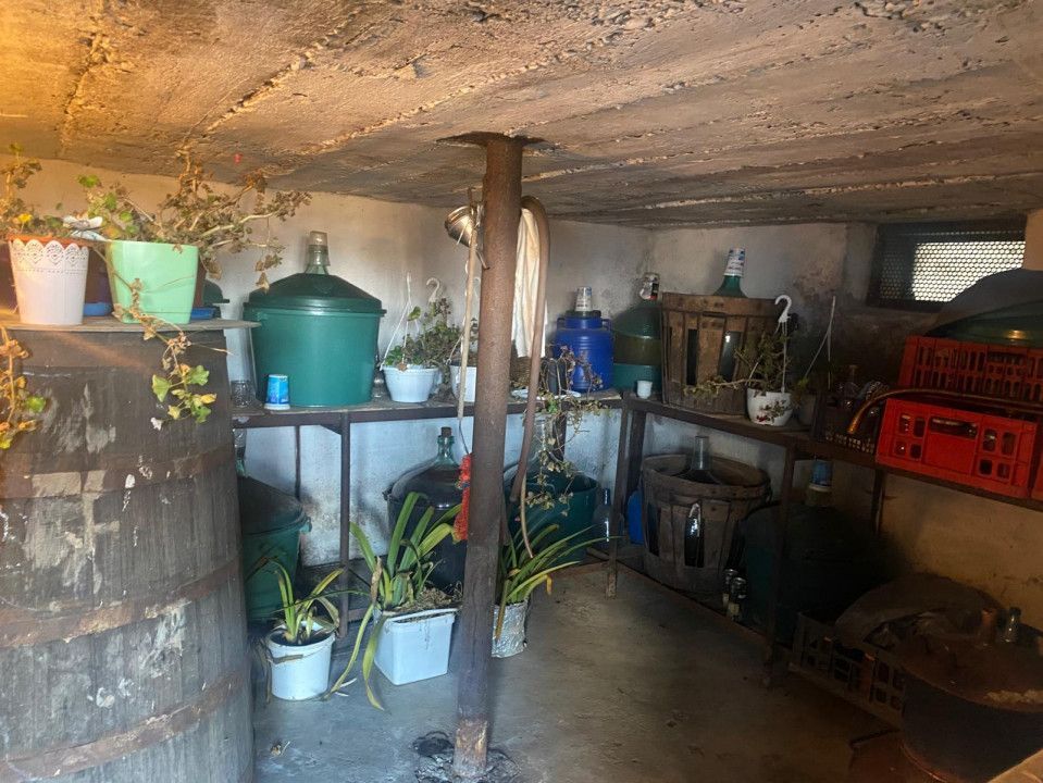 Proprietate cu potențial turistic și agricol | 7.661 mp|Șomanești-GORJ - Poză 16