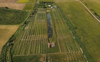 Teren agricol de vânzare – 6,8 hectare cu lac propriu și casă, Nisporeni - Poză 1