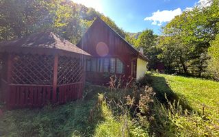 Cabana de vanzare, Valea Manastirii - Ramet - Poză 2