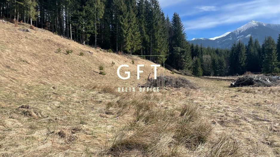 Teren Extravilan, 11731mp,Colibita - Poză 1