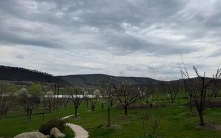 Casă 5 camere de vânzare | Bazna | 3 CF | 7.500 mp teren - Poză 6