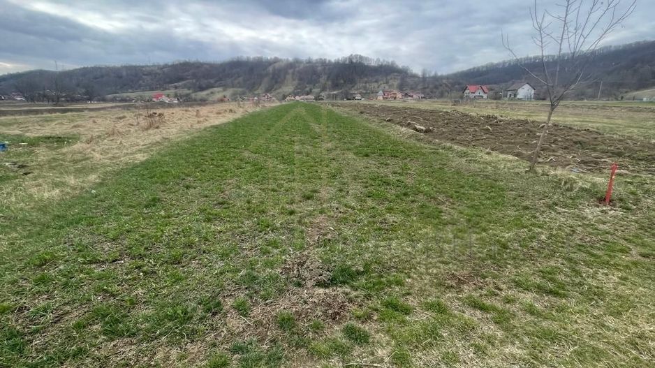 Vânzare teren 3145 mp – Mănăstirea Cașin, Onești - Poză 6