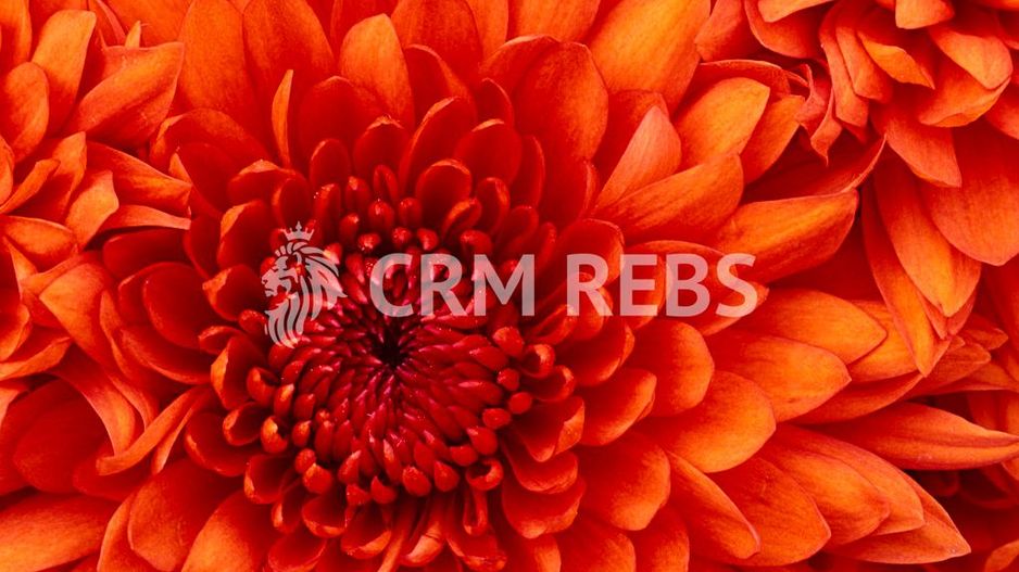 Apartament cu 3 camere de vânzare în zona Baneasa - Poză 24