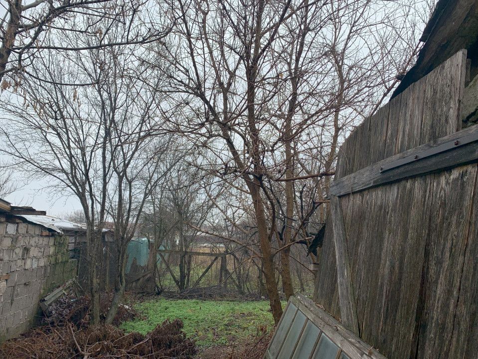  Casa cu teren generos de 1084 mp in centrul comunei Pischia, strada principala - Poză 5