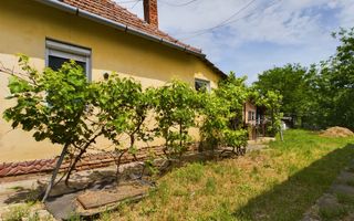 Casă cu teren generos la graniță cu România - Poză 8