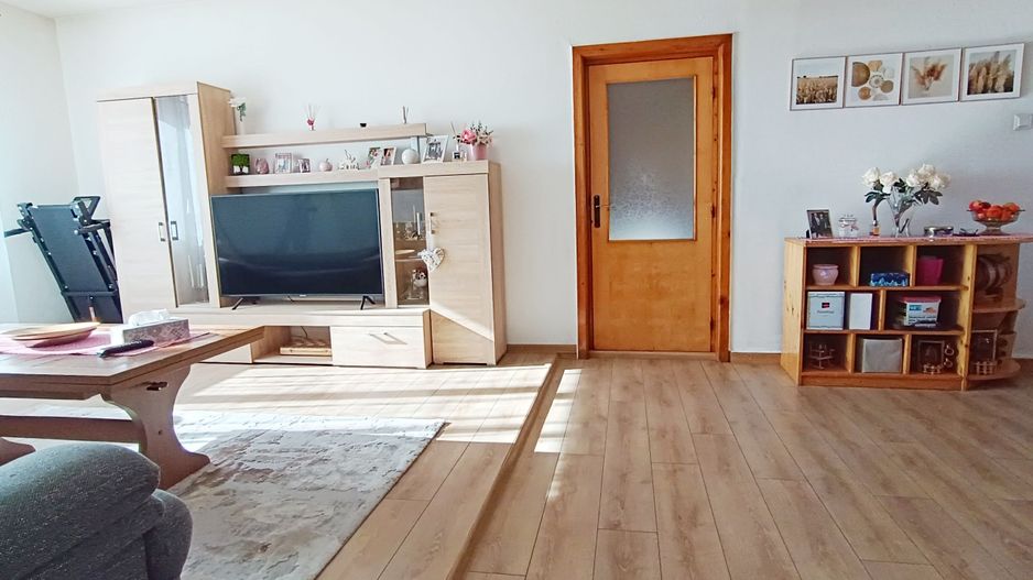 Casa si teren de 12000mp-Simon - Poză 3