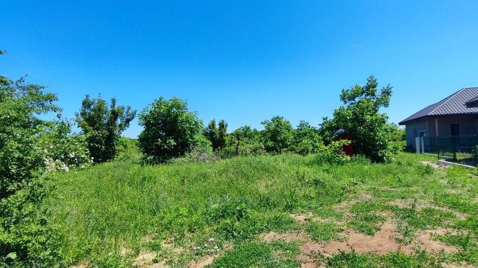 Lot pentru două case – Corbeanca Tamași - Poză 7