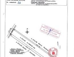 Coreanca  8000 mp intravilan - Poză 2