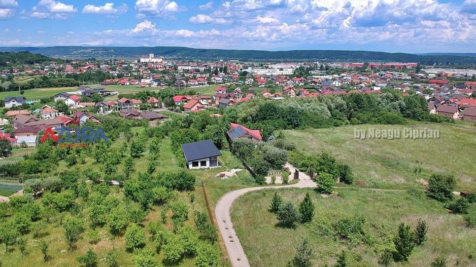 Vanzare teren 1020 mp, intravilan, Labusesti - Poză 8