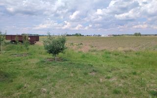 Teren intravilan Ciocanesti Cretu - 9282 mp divizat in 15 loturi - Poză 7