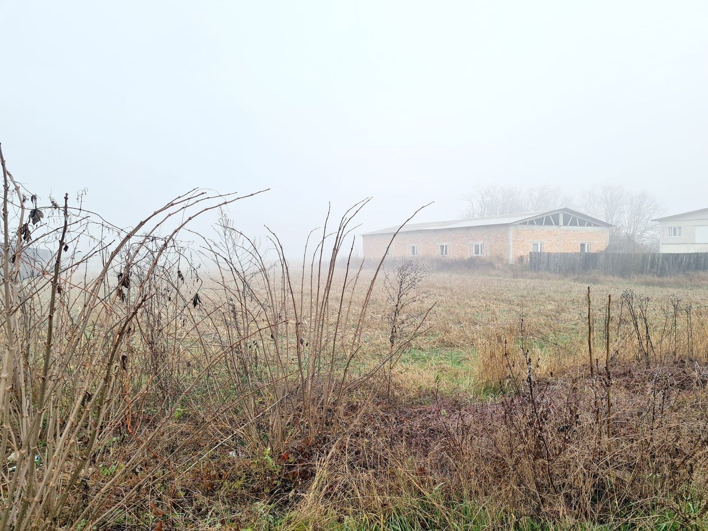 Teren intravilan Babeni - Poză 3