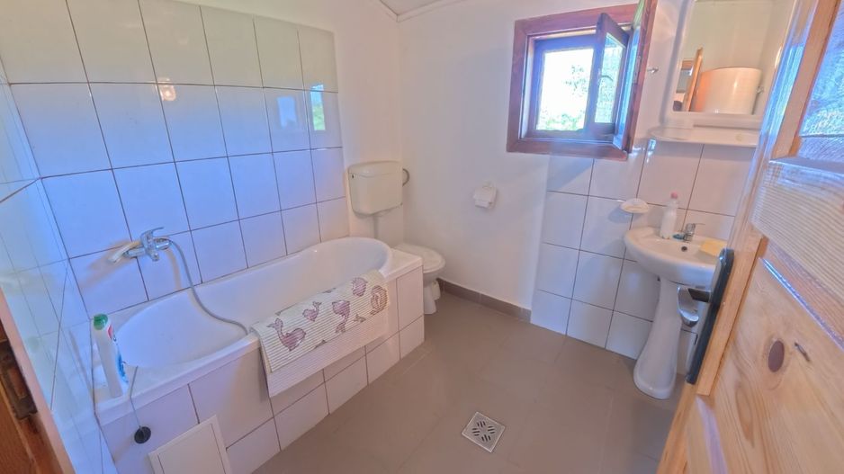 Casă cu 3 dormitoare și teren de 4.836 mp, Viile Satu Mare - Poză 8