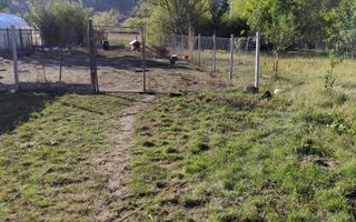 Casa cocheta la 30 minute de Craiova- Cornița Dolj - Poză 13