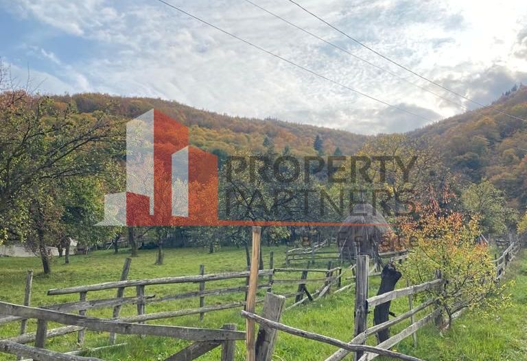 Casa + teren 1700 mp langa Padure Bran/ Predelut - Poză 14