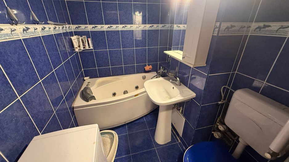Apartament 3 camere Lacul Tei Teiul Doamnei - Poză 10