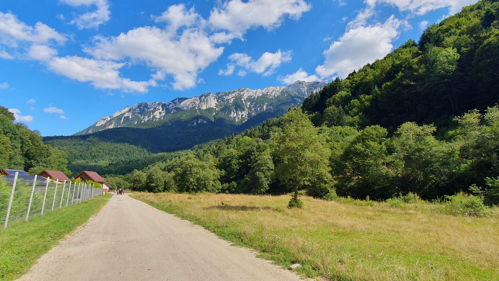 Superb!Zarnesti, Piatra Craiului, teren intravilan 1000mp, acces direct  la rau - Poză 6